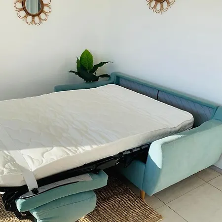 Libeccio Swimming Pool Bbq Calenzana